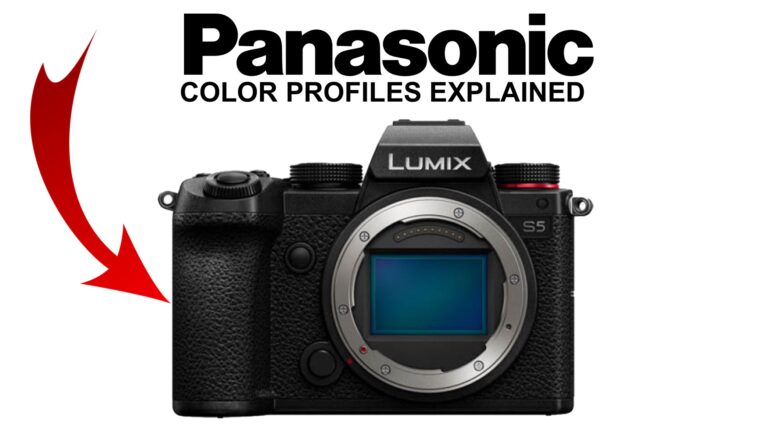 Panasonic S5 Color Profiles Explained