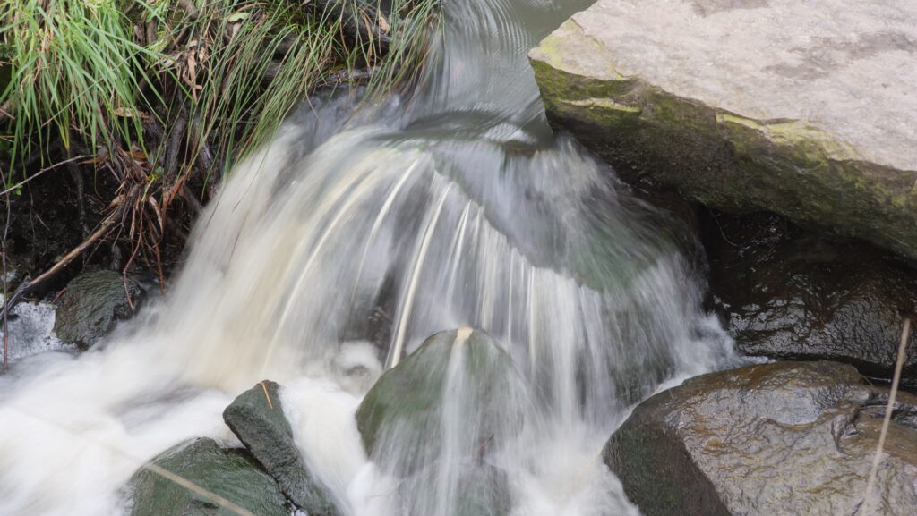 TTARistans 50mm f2 Bokeh