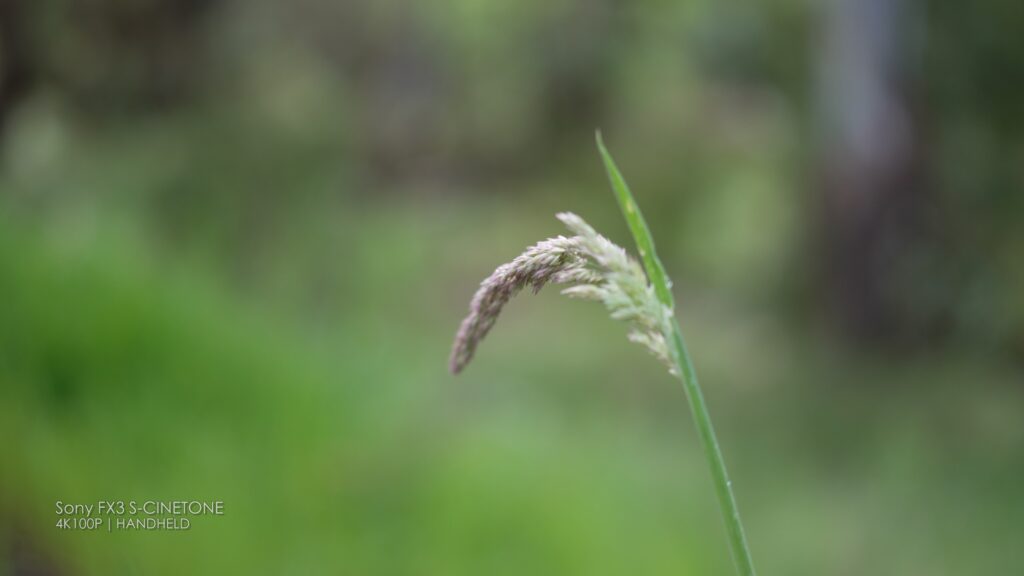 Viltrox 50mm f1.8 prime Minimum Focus Distance
