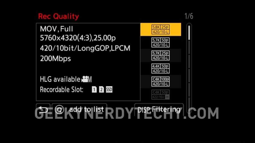 Open Gate Recording Panasonic LUMIX G9II