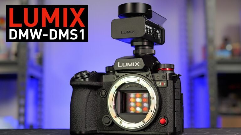 LUMIX DMW-DMS1 Review